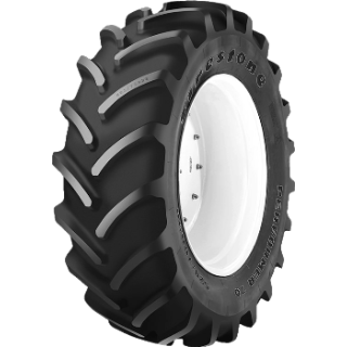 Firestone Performer 70  tyre